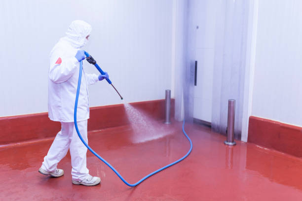 Best Dumpster Area Cleaning  in Bourbonnais, IL