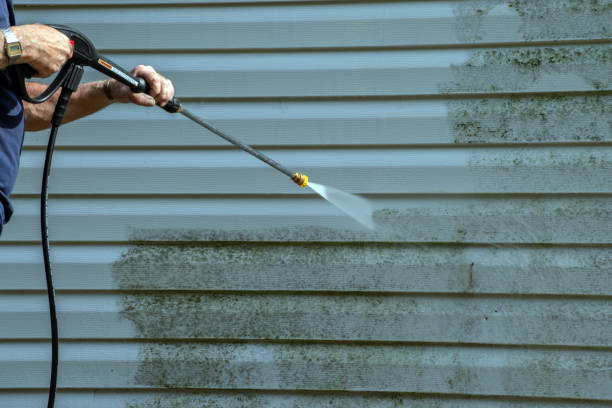 Best Solar Panel Cleaning  in Bourbonnais, IL